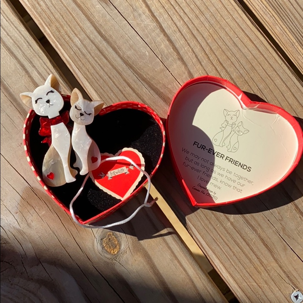Erstwilder Valentine kitty cat Brooch